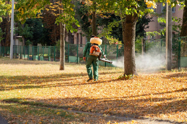 Professional Pest Control in Lemont, IL