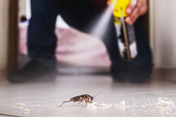 Best Cockroach Control Services  in Lemont, IL